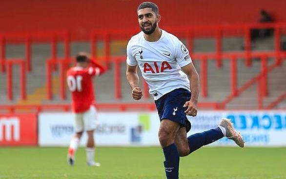 或二阵容组 或二阵容组