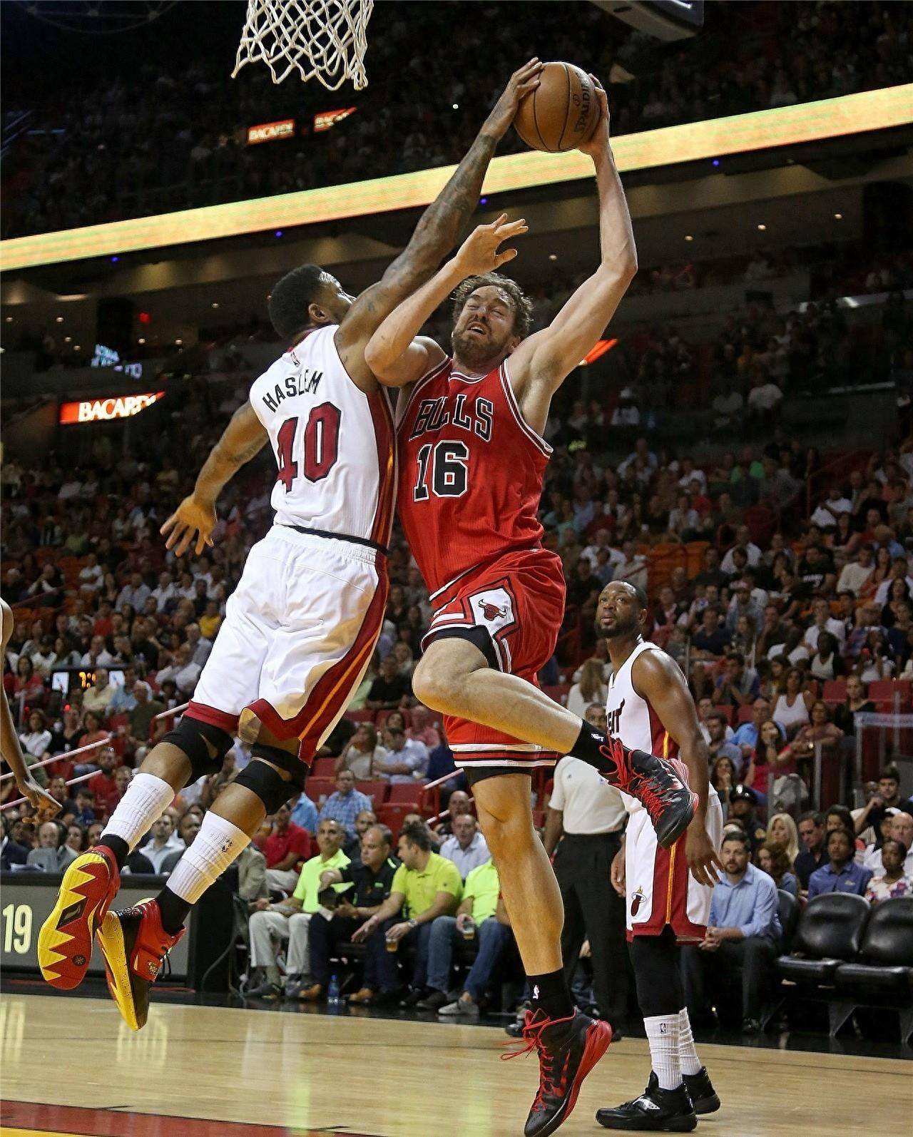 期竞逐所需 期竞逐所需