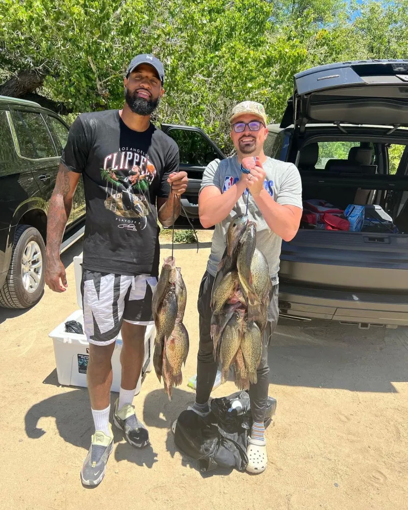 意味着稀释 意味着稀释